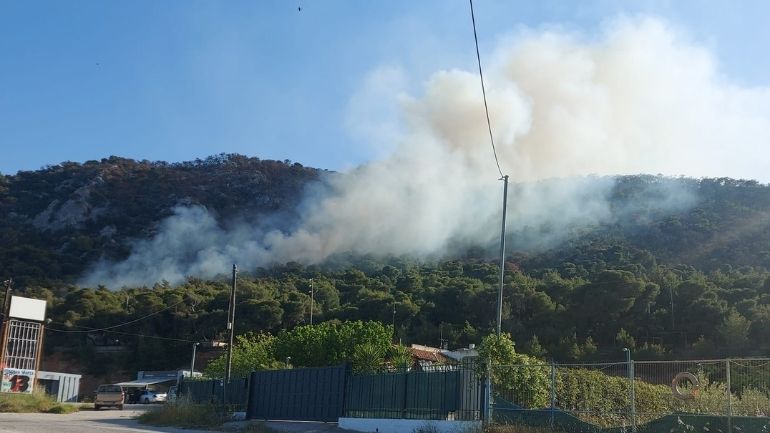 Πυρκαγιά σε δασική έκταση στις Κεχριές Κορινθίας